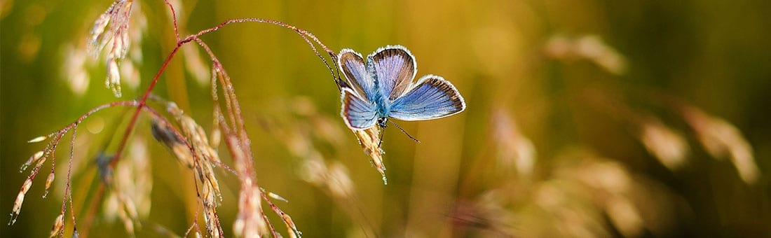 Fragen und Antworten zur 24 Stunden Betreuung und Pflege zu Hause